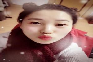龙珠超布罗利帕拉伽斯设定